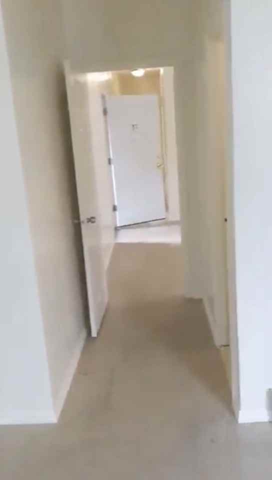 445 Jackson Ave #1 - Photo 2 of 14