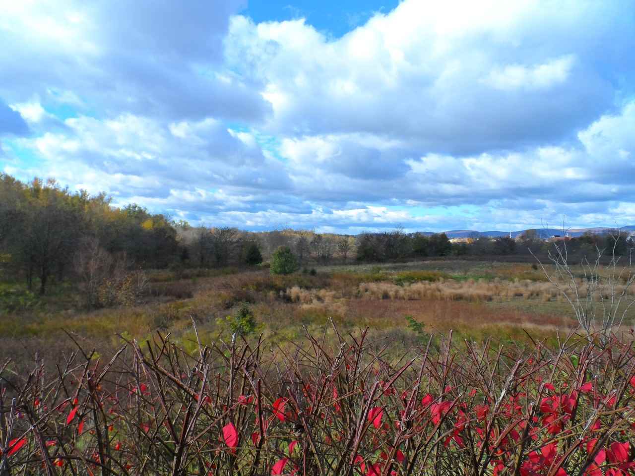 1826 Monocacy View Cir #A - Photo 2 of 21