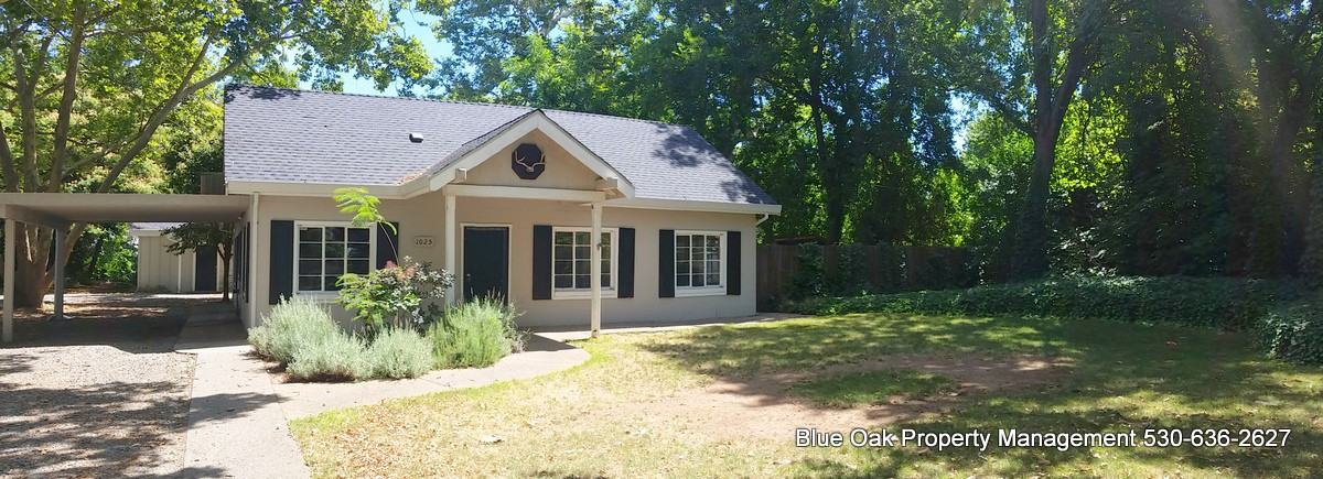 1025 Ivy St #1025 - Photo 2 of 18