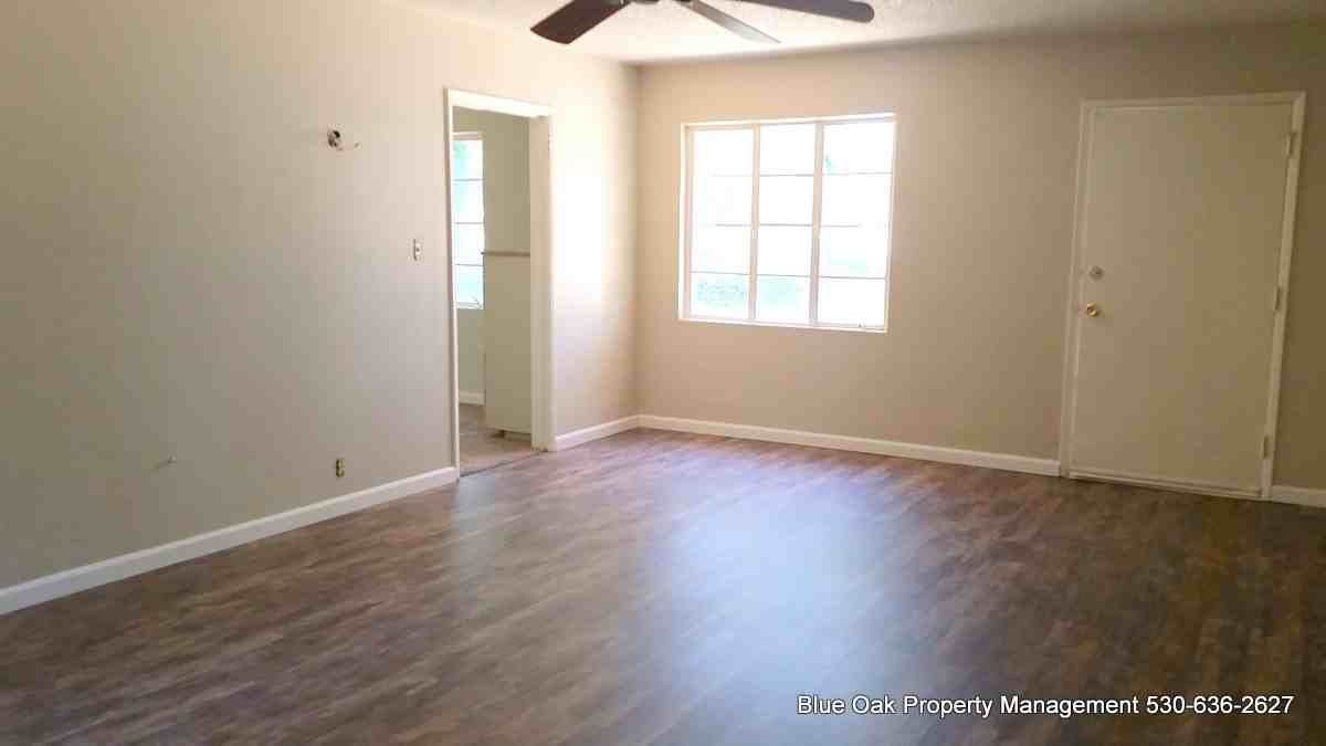 1025 Ivy St #1025 - Photo 4 of 18