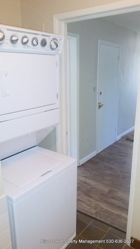 1025 Ivy St #1025 - Photo 7 of 16