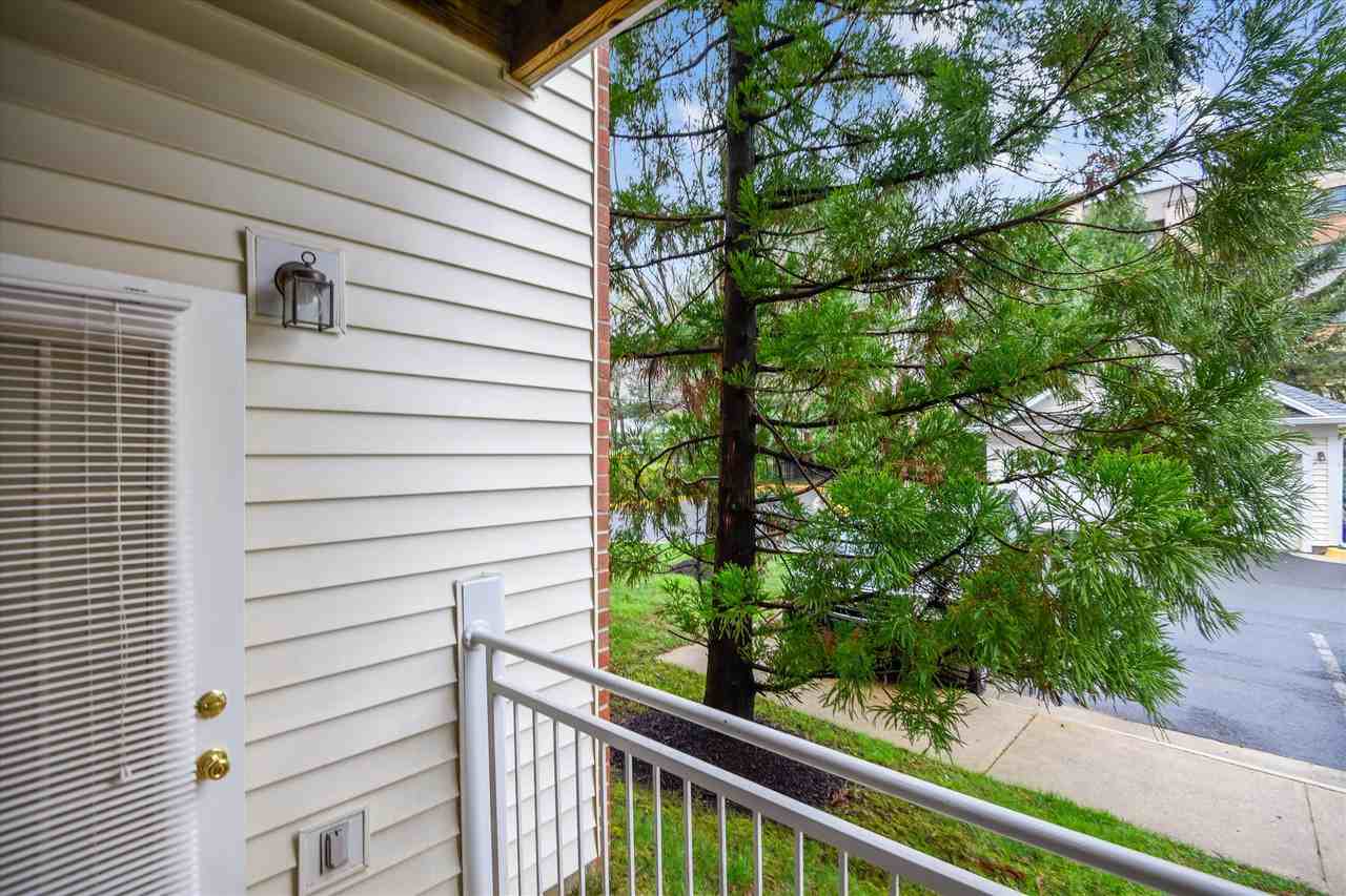 2931 Deer Hollow Way #102 - Photo 5 of 50