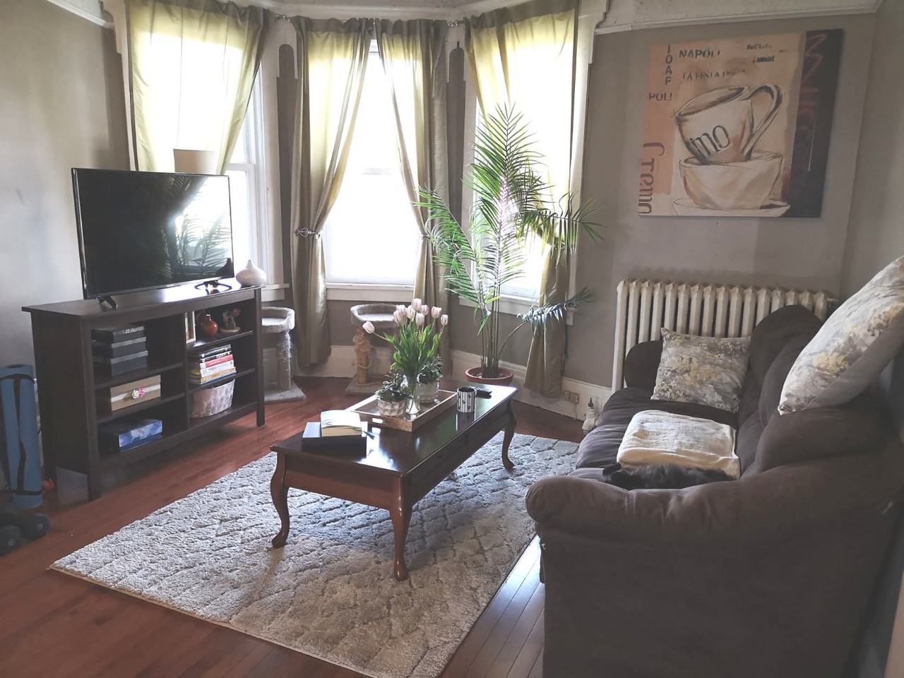 Big Bright 1 Bedroom in Annex mansion Apartments 525 Palmerston