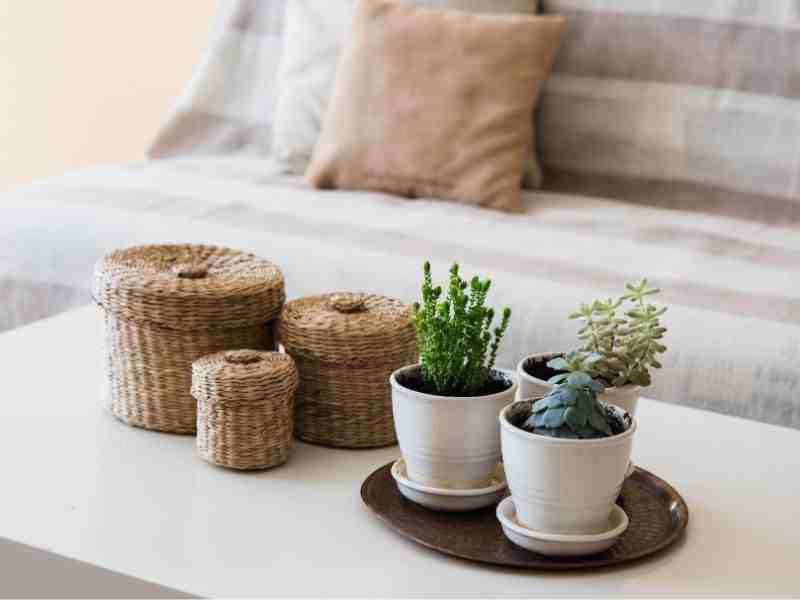 Rio Vista Apartment Homes - Photo 3 of 4