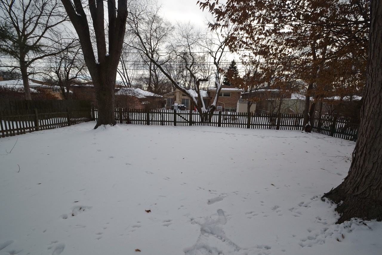 3521 Arcadia St - Photo 3 of 9