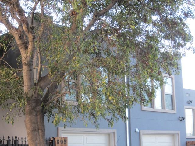 893 Aileen Street - Photo 2 of 24