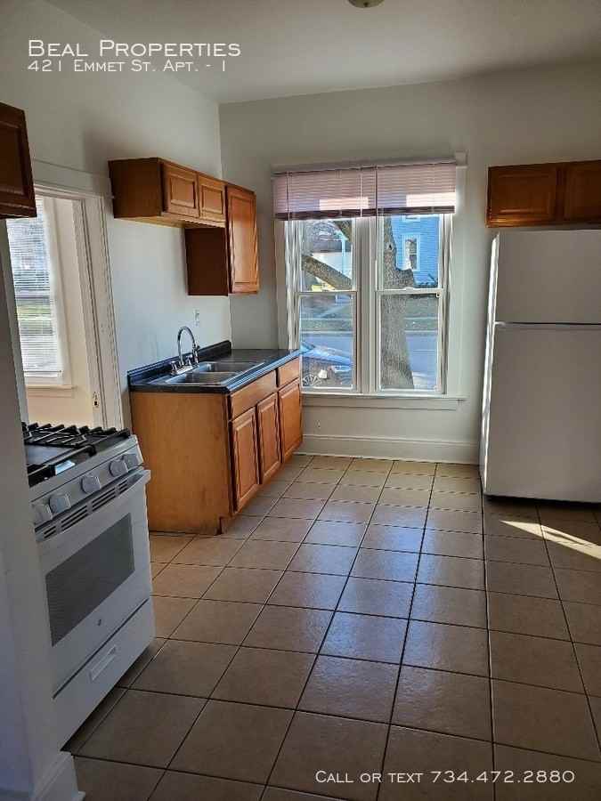 421 Emmet St #1 - Photo 6 of 11