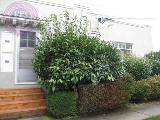 5720 Se Belmont St - Photo 2 of 10