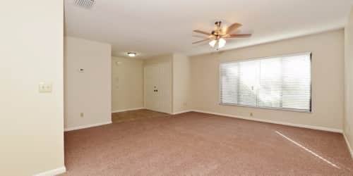 1321 Foggy Ridge Pkwy - Photo 3 of 23