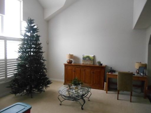 315 Cliff Falls Ct - Photo 2 of 23