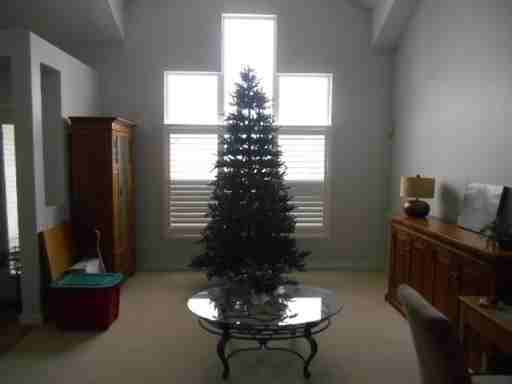 315 Cliff Falls Ct - Photo 3 of 23