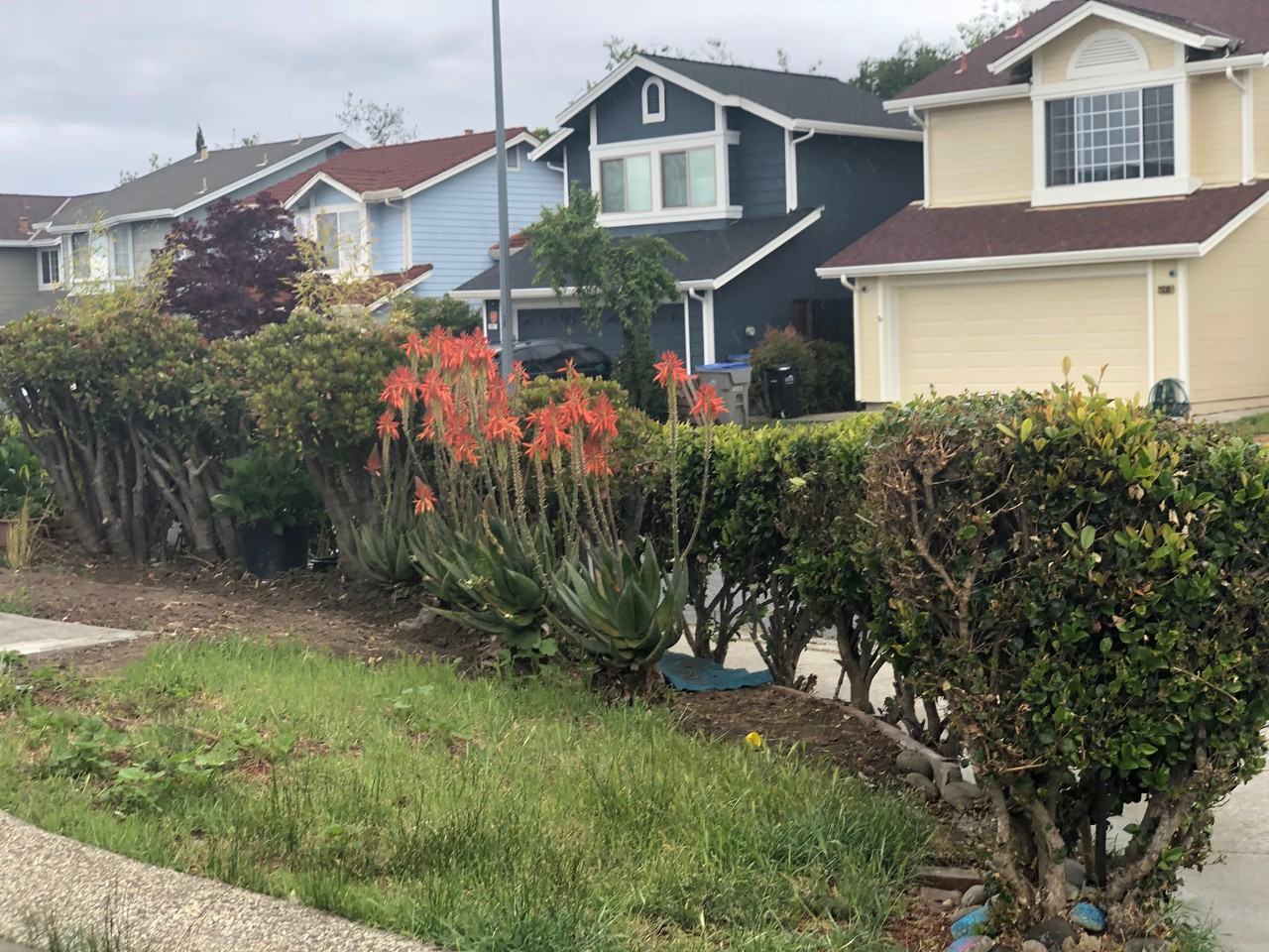 2939 Creek Point Dr - Photo 2 of 4