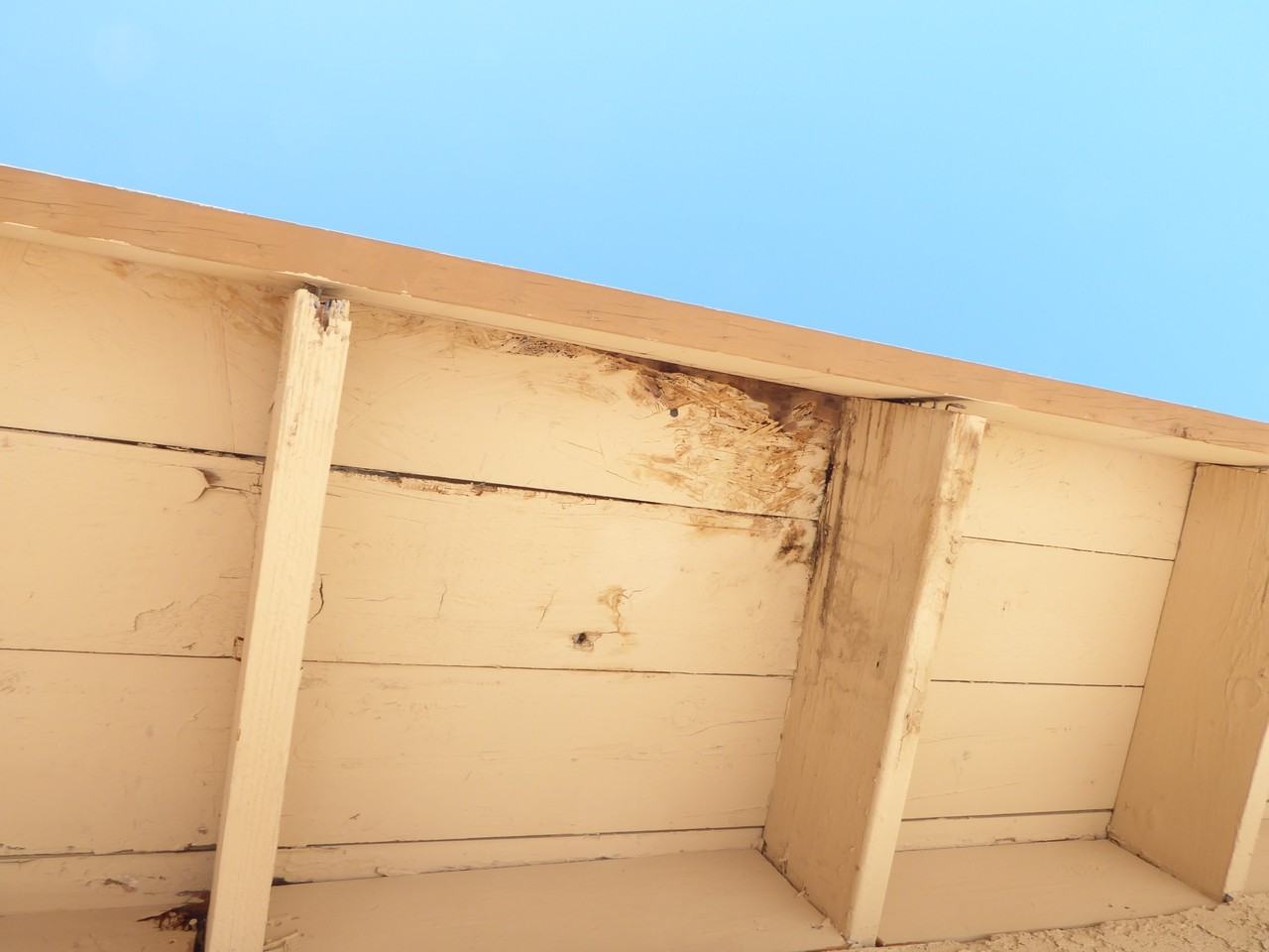 1525 E Sunnyside Dr - Photo 2 of 22