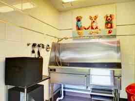 10251 Zuni Street - Photo 1 of 1