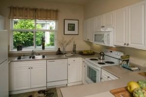 The Timbers - Photo 2 of 35