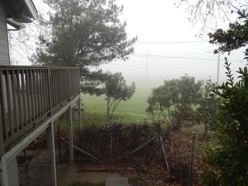 4871 E Ryer Rd - Photo 2 of 8