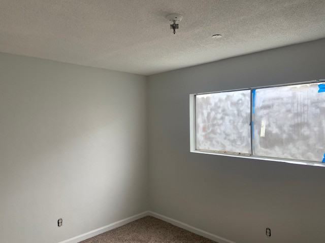 6342 Springfield St #1 - Photo 3 of 11