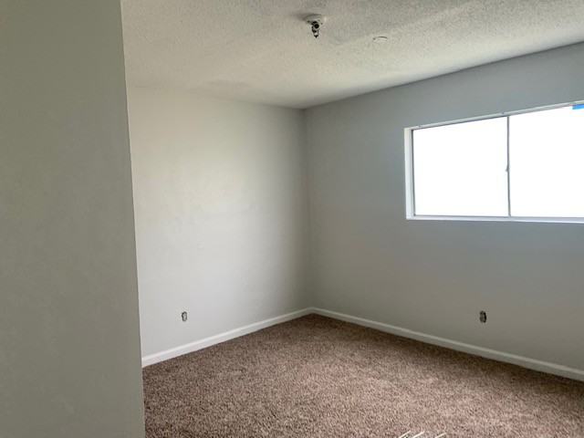 6342 Springfield St #1 - Photo 4 of 11