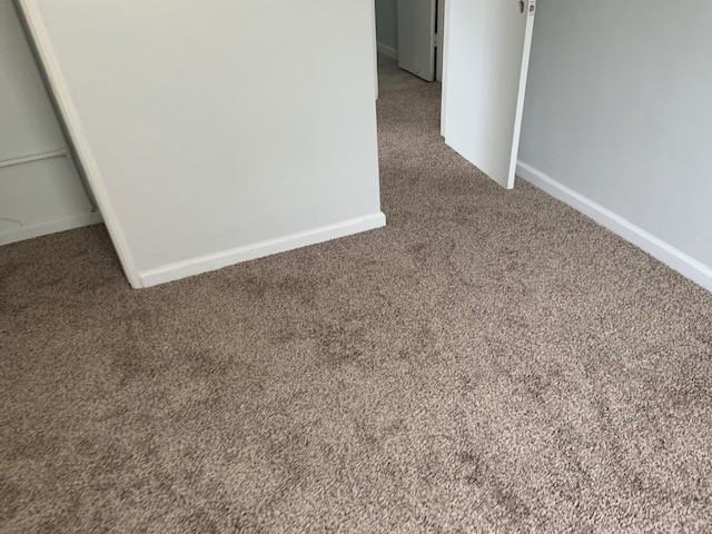 6342 Springfield St #1 - Photo 7 of 11