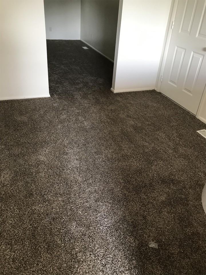 595 W Vine St #1 - Photo 4 of 9