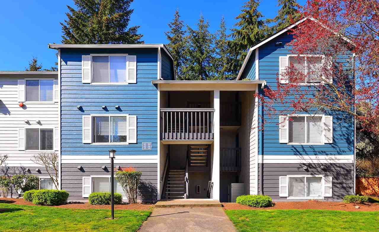 Apartments for Rent In University Place, WA 27 Rentals Available Zumper