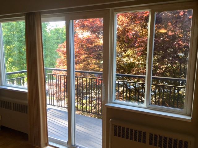 The Excelsior - Photo 3 of 9