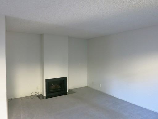 509 Channing Ave - Photo 2 of 12