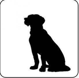 6811 2nd St - Photo 2 of 10