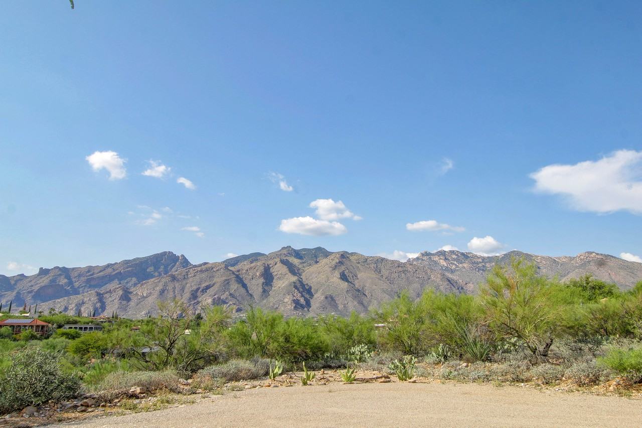 5350 E Camino Francisco Soza #1 - Photo 2 of 40