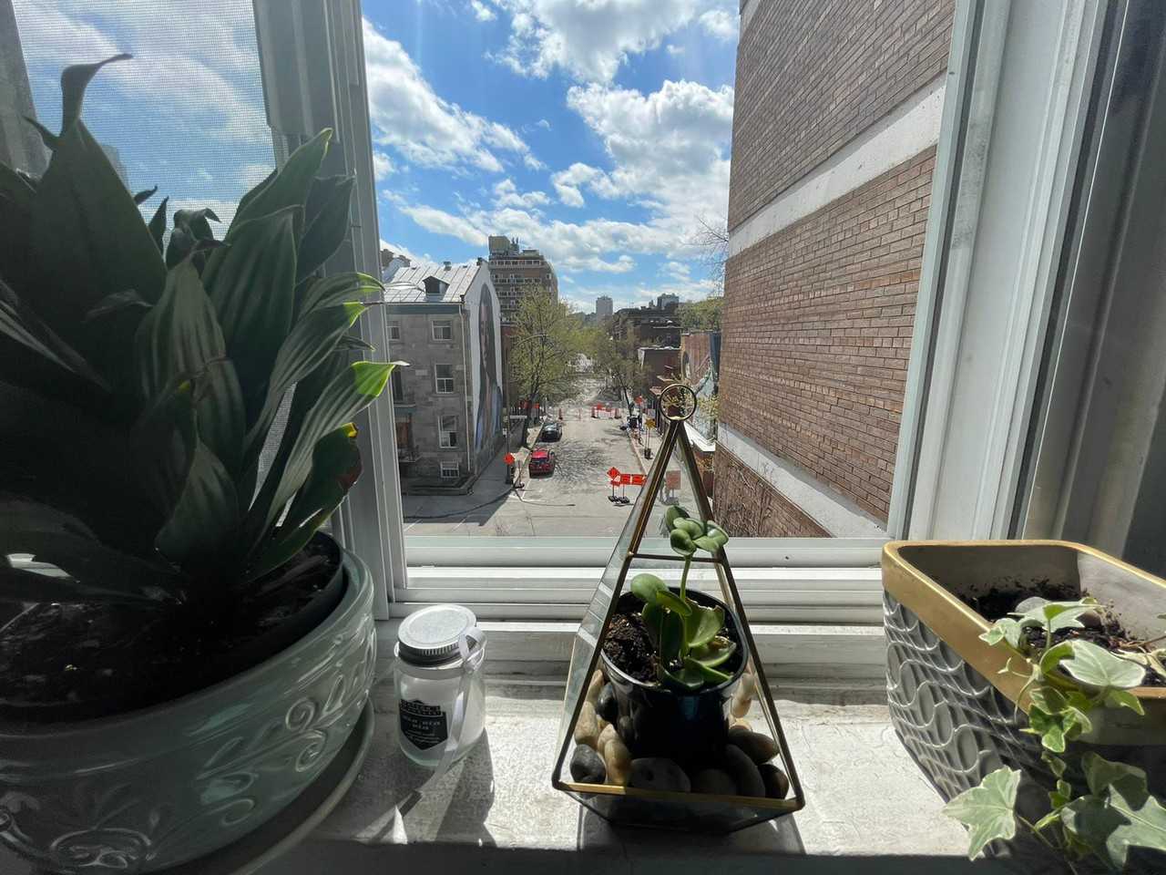 3505 Rue Sainte-Famille #409 - Photo 3 of 7