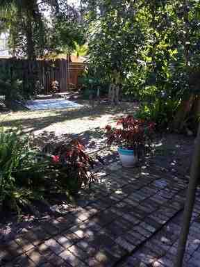 6709 N Habana Ave - Photo 2 of 14