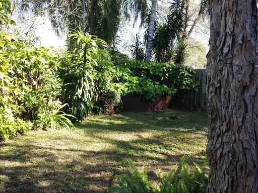 6709 N Habana Ave - Photo 3 of 14