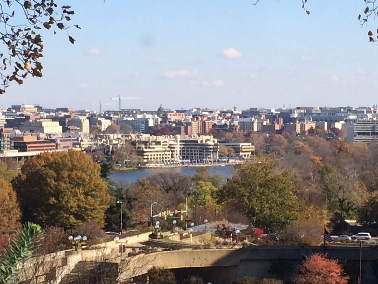 1573 North Colonial Terrace #401 - Photo 2 of 12