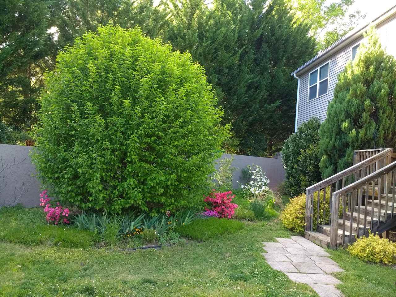 Independence Blvd & Riceville Rd #2