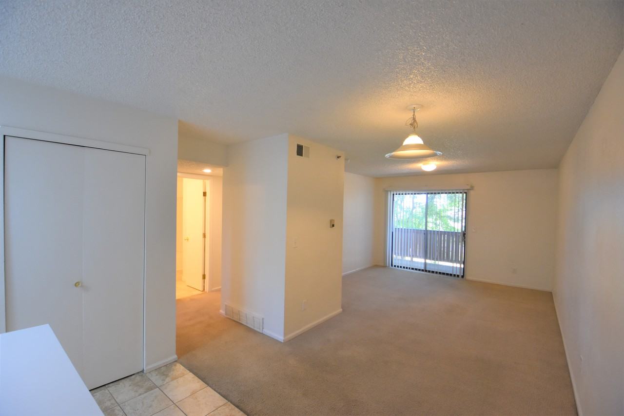 Wimbledon Apartments - Photo 3 of 20