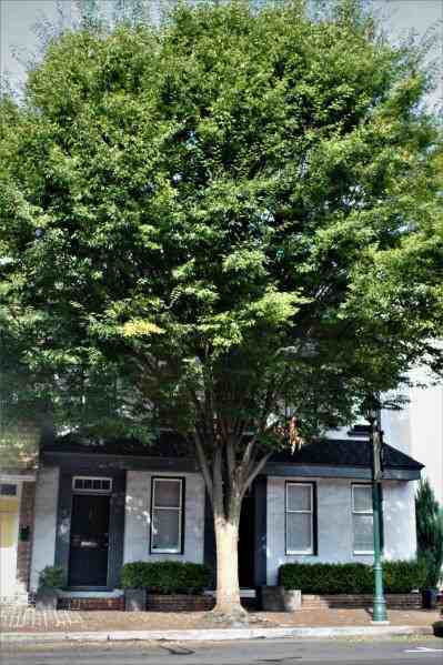 26 North Market Street #2 - Photo 2 of 14