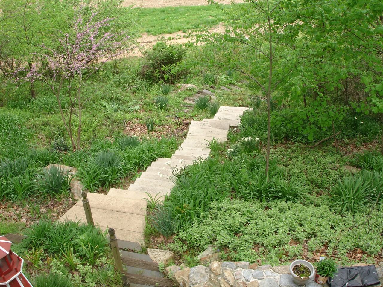 133 Douts Hill Rd - Photo 3 of 20