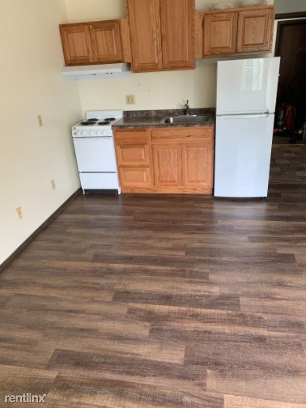 454 454 W Dayton St 301 - Photo 3 of 4