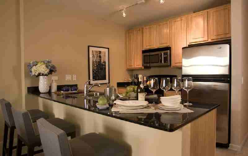 N Desplaines St #1871