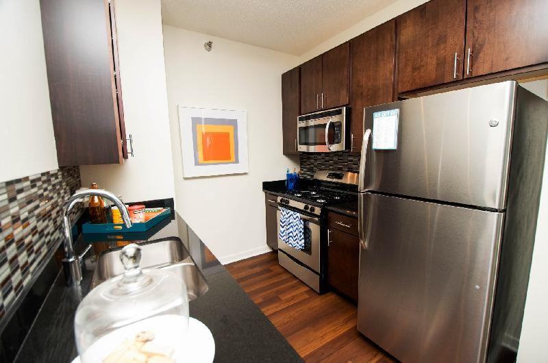 306 N Halsted St #802 - Photo 2 of 10