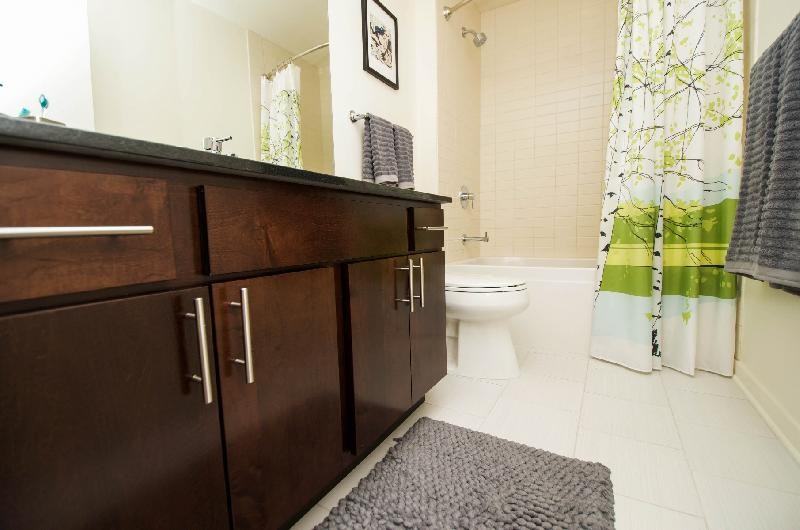 306 N Halsted St #802 - Photo 3 of 10