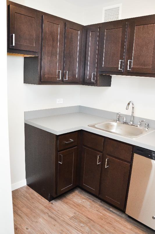 320 W Illinois St #1487 - Photo 3 of 9