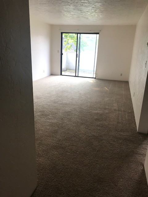 270 N Adams St #270-05 - Photo 2 of 8