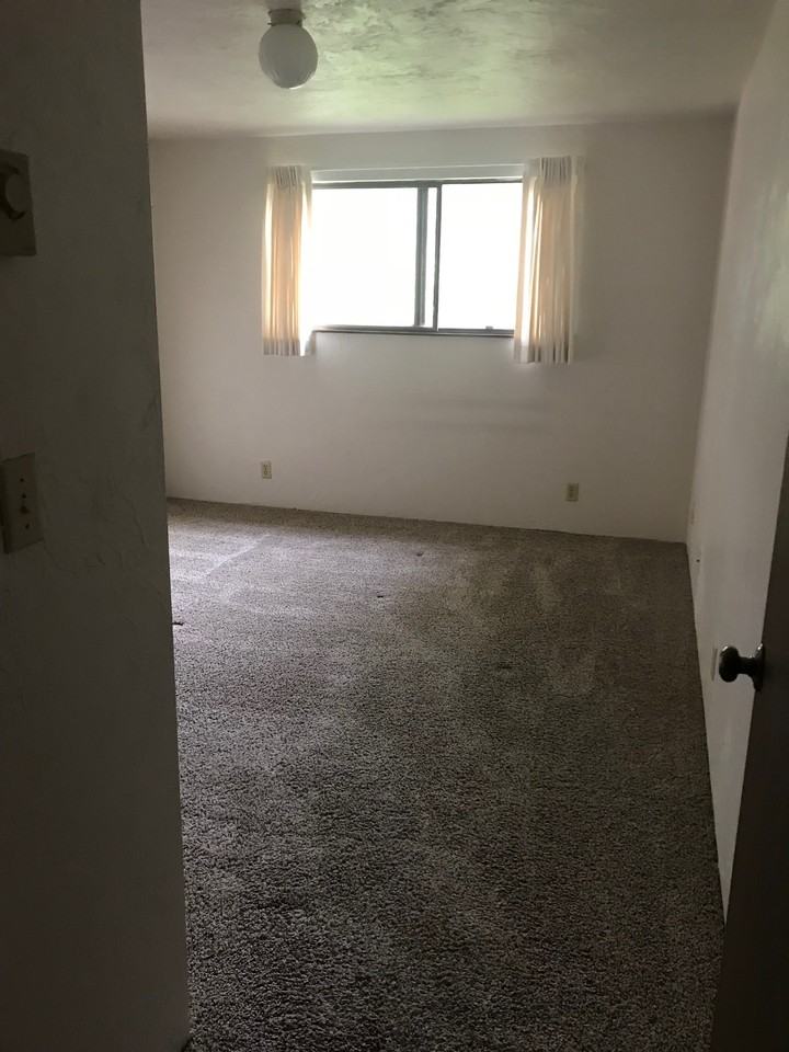 270 N Adams St #270-05 - Photo 3 of 8