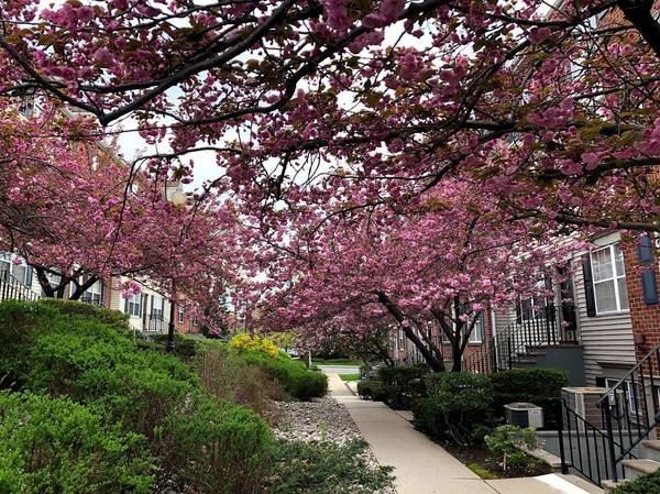 40 Cornerstone Ln - Photo 7 of 12