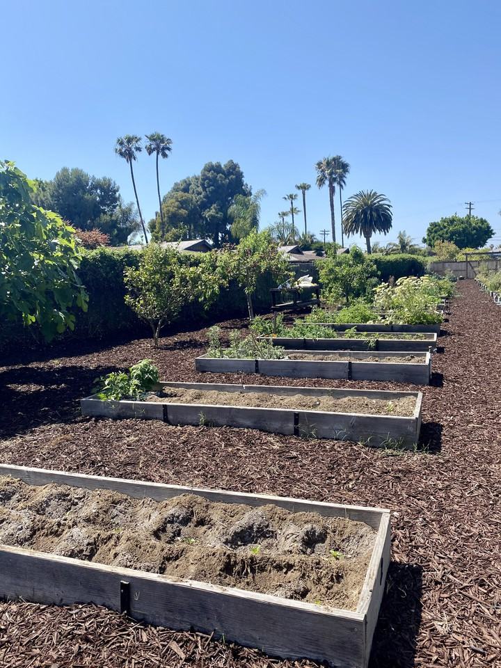 Magnolia Manor Apartments - Photo 2 of 8