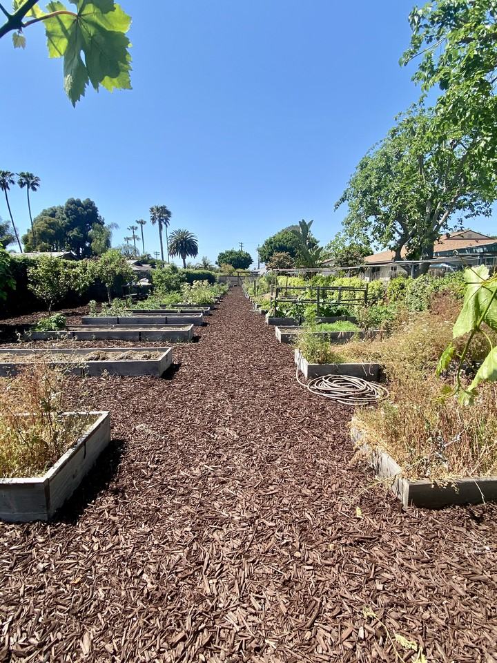 Magnolia Manor Apartments - Photo 3 of 8