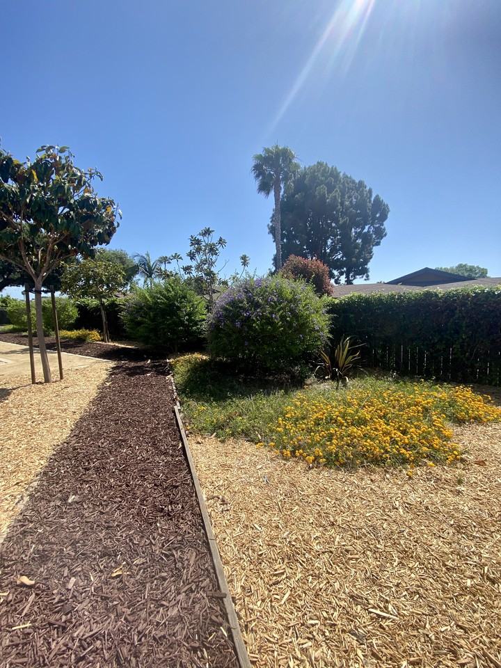 Magnolia Manor Apartments - Photo 6 of 8