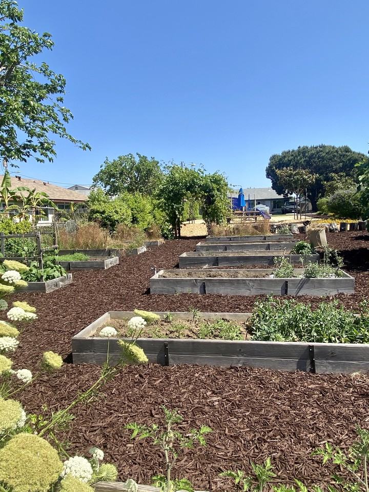 Magnolia Manor Apartments - Photo 7 of 8