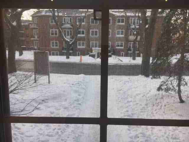 3280 Avenue Ridgewood - Photo 2 of 21